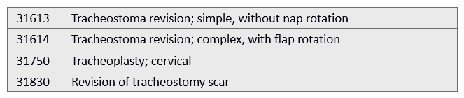 Tracheostoma revision with flap rotation   A)  31830 B)  31750 C)  31614 D)  31613