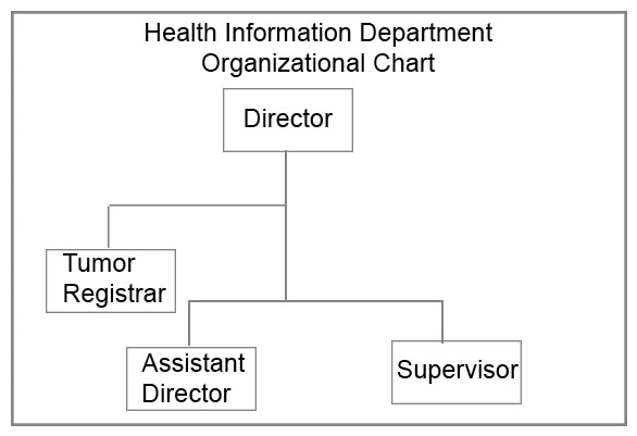 Which statement is an inaccurate description of the organization chart shown?   A)  The director has authority over others in the department. B)  The director has subordinates. C)  The assistant director and the supervisor have a lateral relationship. D)  The tumor registrar has authority over the assistant director.