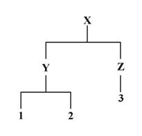 The question below is based on the following illustration of product parts:   Which of the following items are components? A)  Y and Z only B)  1, 2, and 3 only C)  Y, Z, 1, 2, and 3 only D)  X, Y, Z, 1, 2, and 3