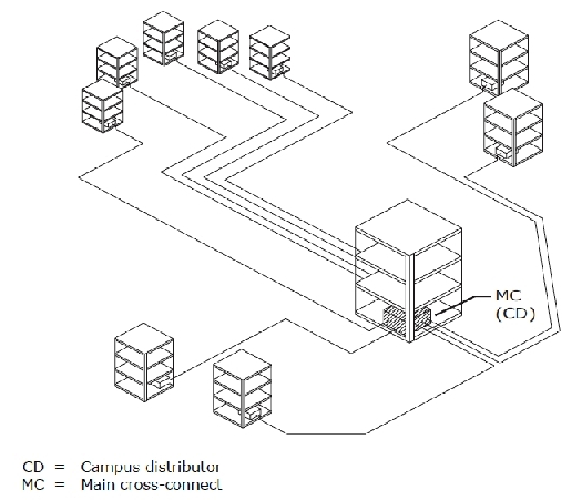 Exhibit:   This diagram illustrates a ______________campus backbone design. A)  Hierarchical star B)  Ring topology C)  Bus topology D)  Inverted star E)  Collapsed ring