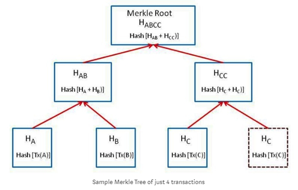 The ____________of the tree is the topmost node and hence this tree is represented upside down. The bottommost nodes are called as ________nodes. Each node is simply a cryptographic hash of a transaction.   In the above diagram, Transaction A,B, C,C from the leaves of the tree. Select one. A)  Root, Hash B)  Root, Leaf Nodes C)  Has, Root nodes D)  Leaf nodes, Root E)  Leaf Nodes, Root