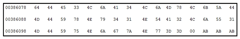   Refer to the exhibit. Which encoding technique is represented by this HEX string? A)  Unicode B)  Binary C)  Base64 D)  Charcode