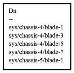 Refer to the exhibit.   Which two Cisco UCS PowerTool commands provide this output? (Choose two.)  A)  Get-UcsServer | Select-Object Dn B)  Get-UcsRack Systems | Select-Object Dn C)  Get-UcsBlade | Select-Object Dn D)  Get-UcsRackUnit | Select-Object Dn E)  Get-UcsSystems | Select-Object Dn
