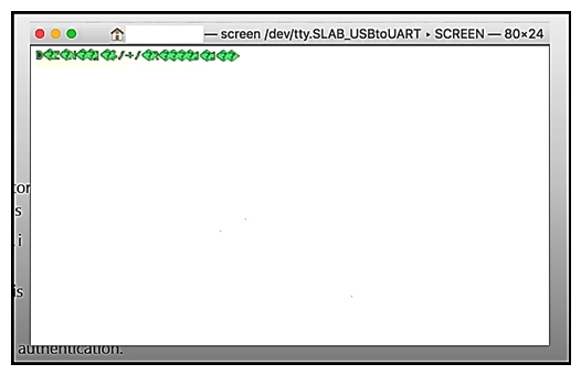  Refer to the exhibit. When a laptop is connected to a device via a serial connection, which action makes the output readable? A)  Change the baudrate in the connection settings. B)  Reboot the device in case a firmware error is the issue. C)  Change the power level of the device. D)  Change the unicode settings to UTF-8.