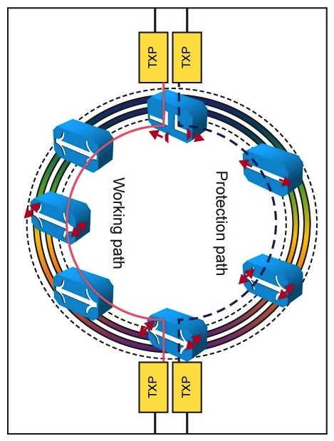 Refer to the exhibit.   In the DWDM network, a ring topology carries multiple services between two sites. Which option describes the employed protection design? A)  Y-cable protection B)  Splitter protection C)  Client protection D)  UDLD E)  FEC protection