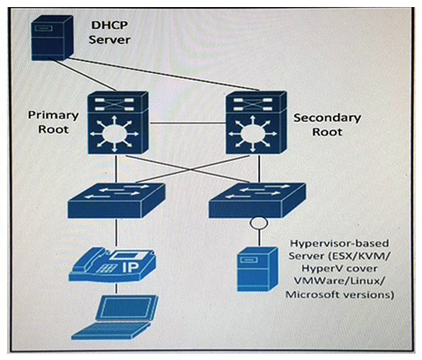Refer to the exhibit.   The server supports 802.1q and is running multiple VLANs on its NIC. Which two Layer 2 features should be applied to the network location identified by a circle? (Choose two.)  A)  PortFast B)  PortFast trunk C)  BPDU guard D)  UDLD E)  BPDU filter
