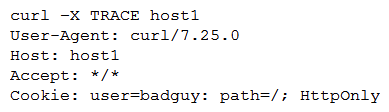 A developer emails the following output to a security administrator for review:   Which of the following tools might the security administrator use to perform further security assessment of this issue? A)  Port scanner B)  Vulnerability scanner C)  Fuzzer D)  HTTP interceptor