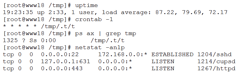 A security analyst has received reports of very slow, intermittent access to a public-facing corporate server. Suspecting the system may be compromised, the analyst runs the following commands:   Based on the output from the above commands, which of the following should the analyst do NEXT to further the investigation? A)  Run crontab -r; rm -rf /tmp/.t to remove and disable the malware on the system. Run crontab -r; rm -rf /tmp/.t to remove and disable the malware on the system. B)  Examine the server logs for further indicators of compromise of a web application. C)  Run kill -9 1325 to bring the load average down so the server is usable again. kill -9 1325 to bring the load average down so the server is usable again. D)  Perform a binary analysis on the /tmp/.t/t file, as it is likely to be a rogue SSHD server. Perform a binary analysis on the /tmp/.t/t file, as it is likely to be a rogue SSHD server.
