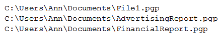 Ann, a new employee, received an email from an unknown source indicating she needed to click on the provided link to update her company's profile. Once Ann clicked the link, a command prompt appeared with the following output:   Which of the following types of malware was executed? A)  Ransomware B)  Adware C)  Spyware D)  Virus