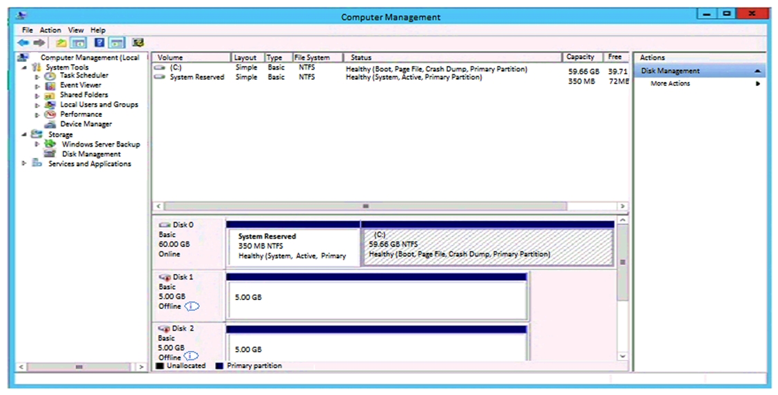 Refer to the exhibit.   The administrator has presented an HPE 3PAR StoreServer virtual volume to a server. A single virtual volume is seen as two different offline disks on a Windows 2012 R2 server. What must be done to correct the issue? A)  Install HPE 3PAR DSM MPIO and reboot the server. B)  Install the latest HBA driver and reboot the server. C)  Install the MPIO feature and reboot the server. D)  Install 3PAR host explorer and start service.