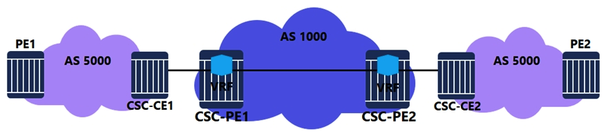 For the Carrier Supporting Carrier (CSC)  VPRN, which routes are advertised between CSC-CE1 and CSC-PE1?   A)  VPN-IPv4 routes for all PE system addresses in AS 1000. B)  BGP labeled IPv4 routes for all PE system addresses in AS 1000. C)  VPN-IPv4 routes for all PE system addresses in AS 5000. D)  BGP labeled IPv4 routes for all PE system addresses in AS 5000.