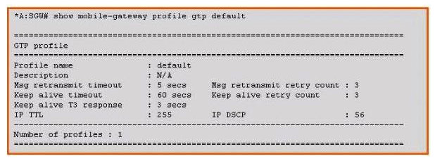 Based on the information shown in the exhibit, which of the following is the time interval used by the SGW to send out an  Echo Request  message over the GTP interface?   A)  3 seconds B)  5 seconds C)  6 seconds D)  60 seconds E)  90 seconds