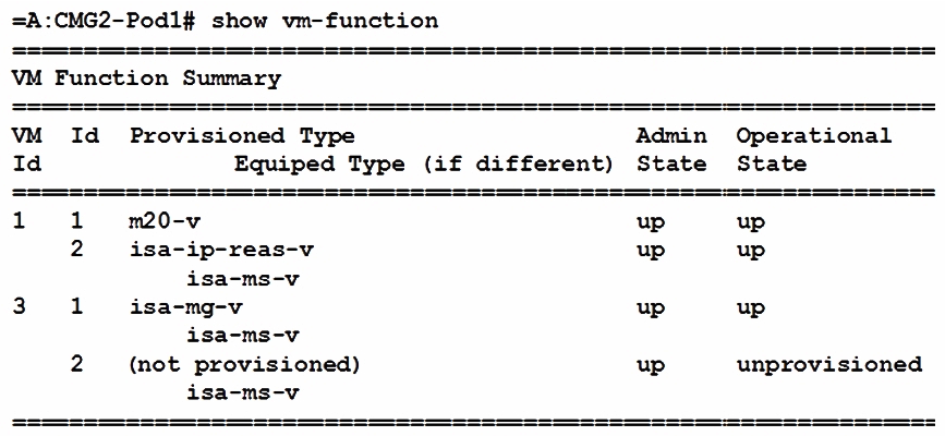 Based on the exhibit output, which of the following statements is TRUE?   A)  This CMG has one LB VM and one MG VM. B)  This CMG has one LB VM and two MG VM. C)  This CMG has two LB VM and one MG VM. D)  This CMG has two LB VM and two MG VM.