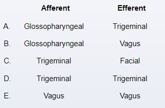 A 49-year-old woman arrives at the office complaining of muscular weakness. The patient's right hand has been weakening for the previous three months. She's also been hallucinating. The patient's arms and legs are twitching and cramping. She has no sensory issues. The lower extremities muscles have increased tone and fasciculations on examination. There is atrophy of the interosseus muscles of the right hand as well as the bilateral intrinsic muscles of the foot. When the doctor touches the chin with the mouth slightly open, the jaw jerks up quickly. This response is mediated by which of the following cranial nerves?   A) A B) B C) C D) D E) E