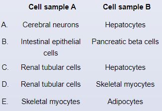 Researchers are investigating the relationship between glucose transport proteins and insulin concentration in different types of tissues.  Experiments in which cells are taken from various tissue samples and exposed to increasing concentrations of insulin are performed.  The number of surface glucose transporters are then measured.  The results from 2 cell samples are plotted on the graphs below.         Which of the following cell types are most likely represented in cell samples A and B, respectively?   A) A B) B C) C D) D E) E