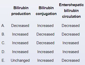 A 4-day-old boy is brought to the office due to a 2-day history of progressive jaundice.  The patient was born at term following an uncomplicated pregnancy.  He is formula fed.  The patient and his mother are both blood group A, Rh-positive.  Vital signs are normal.  Examination shows scleral icterus and jaundice over the face and chest.  Laboratory results are as follows:   The patient is followed closely, and the jaundice resolves without intervention in 3 days.  This patient's jaundice was most likely the result of which of the following changes in bilirubin metabolism compared to an adult?   A) A B) B C) C D) D E) E