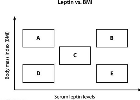 An investigator is studying weight regulation using experimental mouse models.  Knockout mice are created with a homozygous mutation in the gene coding for the leptin receptor.  This mutation prevents the receptor from binding leptin and initiating its normal signaling cascade.  The knockout mice are allowed to feed at will, and their body mass index (BMI)  and serum leptin levels are measured and compared with control mice.  On the graph below, area C represents the normal relationship between BMI and leptin in a control mouse.   Which of the following areas represents the expected relationship between BMI and serum leptin levels in a leptin receptor mutant mouse? A) A B) B C) C D) D E) E