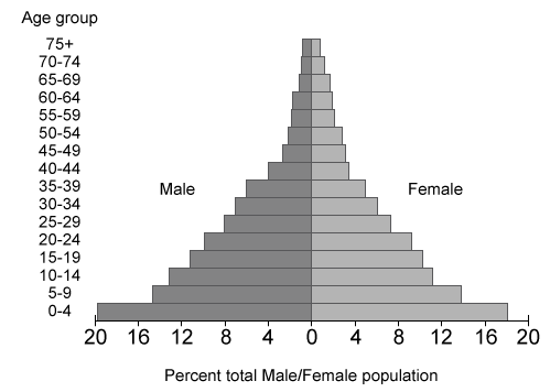 The population pyramid of a certain country is shown below.   Based on the diagram, which of the following best characterizes this population? A) High mortality rate B) Long life expectancy C) Low birth rate D) Shrinking population E) Stable population