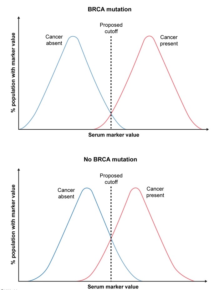A new tumor marker is being investigated for its usefulness in diagnosing ovarian cancer.  A sample of 400 women is stratified into 2 groups based on the presence or absence of BRCA mutations.  Serum levels of the new marker are obtained in the 2 groups; in addition, both groups of women undergo conventional screening to determine their disease status.  The curves on the top represent the distribution of the new serum marker in women with BRCA mutations, and the curves on the bottom represent the distribution of the new serum marker in women without the BRCA mutations.   The proposed serum marker cutoff value for both populations is shown.  Use of the new serum marker in women with BRCA mutations, compared with those without BRCA mutations, is associated with which of the following? A) Higher sensitivity and higher specificity B) Higher sensitivity and lower specificity C) Higher sensitivity and same specificity D) Lower sensitivity and higher specificity E) Lower sensitivity and lower specificity F) Lower sensitivity and unchanged specificity G) Unchanged sensitivity and unchanged specificity