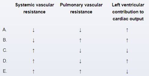 In the delivery room, a 1-hour-old baby girl is assessed. Following an easy pregnancy, the baby was delivered at term through spontaneous vaginal delivery. The woman is in her second trimester of pregnancy and has no significant medical history. At 1 and 5 minutes, the Apgar scores were 9 and 9. The patient has been skin-to-skin with her mother and has successfully nursed once. An inspection reveals a rosy, alert baby. Cardiac auscultation demonstrates normal S1 and S2 with no murmurs, as well as normal femoral pulses. Which of the following hemodynamic alterations are most likely to be observed in this infant than before birth?   A) A B) B C) C D) D E) E