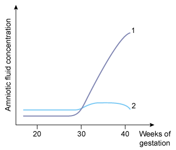 The concentrations of 2 substances in the amniotic fluid of pregnant women are graphed below.   The two curves most likely correspond to which of the following?   A) A B) B C) C D) D E) E
