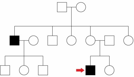 A 25-year-old man experiences severe intolerance to certain medications.  On 2 occasions, his reactions to various drugs have necessitated hospital admission.  His family pedigree with respect to this condition is shown below, with the red arrow indicating his position within the family.   Assuming that the genetic condition demonstrates complete penetrance and is rare in the general population, which of the following inheritance patterns is most likely? A) Autosomal dominant B) Autosomal recessive C) X-linked dominant D) X-linked recessive E) Mitochondrial