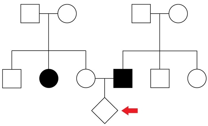 <strong>A young couple has undergone a successful in vitro fertilization procedure.  The father has cystic fibrosis and the mother has a sister with cystic fibrosis.  The father as well as the mother's sister are both known to have ΔF508 mutations, but the mother's carrier status is unknown.  Before making the decision to conceive, the couple underwent extensive genetic counseling regarding the potential risks of having a child with cystic fibrosis.  The family pedigree is diagrammed below with the unborn child marked by the red arrow.   What is the probability that the unborn child will have cystic fibrosis?</strong> A)1/16 B)1/8 C)1/4 D)1/3 E)2/3 F)3/4 <div style=padding-top: 35px> 