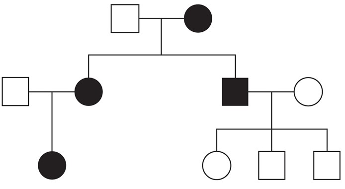 A 26-year-old woman is being evaluated for a possible inherited disorder.  She has a 6-year history of generalized tonic-clonic seizures, and a year ago, she had partial loss of vision due to an occipital infarction.  Her mother has chronic intermittent muscle weakness and lactic acidosis, and her maternal uncle has hemiplegia.  Skeletal muscle biopsy of the patient shows ragged-appearing muscle fibers.  After further evaluation, all the affected family members are found to suffer from the same inherited disease.  Pedigree analysis is shown in the image below.   Which of the following is the most likely explanation for the variability of clinical manifestations in the affected family members? A) Anticipation B) Heteroplasmy C) Incomplete penetrance D) Mosaicism E) Uniparental disomy