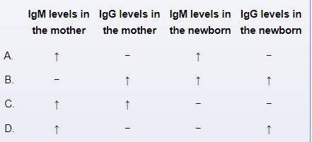 A neonate is born at 38 weeks gestation age via spontaneous vaginal delivery to a 40-year-old woman.  The mother was working in South America when she discovered that she was pregnant.  She had 2 days of fever associated with cough and swollen cervical glands, which resolved spontaneously at 12 weeks gestation prior to returning to the United States.  The mother has no current symptoms.  Neonatal examination shows weight and length at the 8th percentile, and head circumference below the 3rd percentile for age.  Heart and lung sounds are normal.  There is moderate hepatosplenomegaly.  Skin examination shows diffuse, dark-blue papules and nodules.  Serology from the mother and infant are attained.  Which of the following serology patterns is most consistent with a suspected congenital infection?   A) A B) B C) C D) D