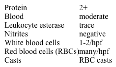 A 7-year-old boy is brought to the emergency department by his parents for arthralgias.  He had a cough and runny nose last week but otherwise has been in good health.  Temperature is 37 C (98.6 F) , blood pressure is 95/65 mm Hg, pulse is 92/min, and respirations are 20/min.  Physical examination shows raised, red-purple papules, some of which have coalesced, over the patient's buttocks and thighs.  Auscultation of the lungs and heart is normal.  The abdomen is soft with normal bowel sounds.  The knees are tender but do not appear warm or swollen.  Urinalysis results are as follows:   Which of the following mechanisms is the most likely underlying cause of this patient's renal findings? A) Autoantibodies against podocyte antigens B) Autoantibodies to host cell basement membranes C) Immune complex deposition in glomerular mesangium D) Thrombosis of glomerular capillaries E) T-lymphocyte cytotoxicity against virally-infected mesangial cells