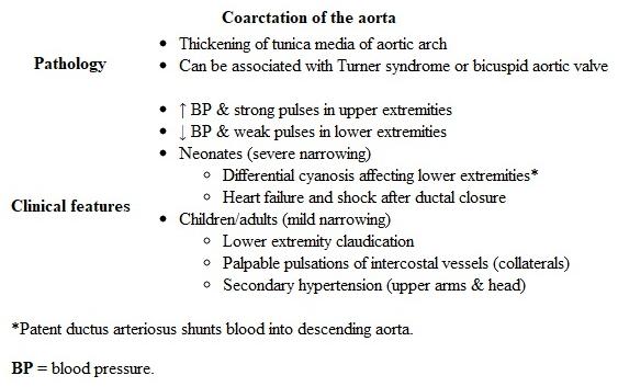 A   This patient died from an intracranial hemorrhage due to a ruptured cerebral aneurysm.  Hypertension, genetic conditions (eg, Ehlers-Danlos syndrome), and lifestyle factors (eg, cigarette smoking) increase the risk of aneurysm development.  <strong>Coarctation of the aorta</strong> is a congenital cardiac defect associated with secondary hypertension and is a <strong>risk factor</strong> for <strong>cerebral aneurysm</strong> development. Coarctation of the aorta is a narrowing of the aortic arch near the ligamentum arteriosum (remnant of ductus arteriosus) with localized medial and intimal hyperplasia.  Critical coarctation (severe narrowing) often presents in the neonatal period with heart failure and cardiogenic shock.  However, less severe narrowing allows for distal (but decreased) perfusion to the lower extremities and may present with only asymptomatic <strong>upper extremity hypertension</strong> in children or adults.  Additional symptoms due to this differential in blood pressure include headache, epistaxis, chest pain, and lower extremity claudication. <strong>Complications</strong> of aortic coarctation include cerebral and aortic aneurysm.  Cerebral aneurysm with life-threatening rupture causing <strong>subarachnoid hemorrhage</strong> is likely due to chronic hypertension.  Aortic aneurysms usually develop near the site of coarctation due to embryologic vessel wall abnormalities and may lead to dissection or fatal rupture. <strong>(Choices B, C, D, and F)</strong>  Patent ductus arteriosus and atrial and ventricular septal defects create a left-to-right intracardial shunt that, if untreated, may lead to right-to-left shunting (ie, Eisenmenger syndrome) due to pulmonary hypertension.  This may increase risk of a paradoxical thromboembolism from the venous to arterial circulation directly to the brain, causing an ischemic stroke.  However, neither condition is associated with cerebral aneurysm or intracranial hemorrhage. <strong>(Choice E)</strong>  Tetralogy of Fallot is characterized by pulmonary stenosis, ventricular septal defect, an overriding aorta, and right ventricular hypertrophy.  Almost all patients have cyanosis in infancy or hypercyanotic episodes (ie, tet spells) in early childhood.  This patient's age makes this diagnosis unlikely.  In addition, risk of intracranial hemorrhage is not increased with tetralogy of Fallot, regardless of age. <strong>Educational objective:</strong> Adults with coarctation of the aorta often have chronic hypertension and are at increased risk of developing life-threatening aneurysms of the aorta (eg, dissection, rupture) and cerebral vessels (ie, intracranial hemorrhage). __________ References: Coarctation of the aorta. (http://www.ncbi.nlm.nih.gov/pubmed/28613663) Subarachnoid aneurysmal hemorrhage associated with coarctation of the aorta: case report and review of the literature. (http://www.ncbi.nlm.nih.gov/pubmed/28978900)