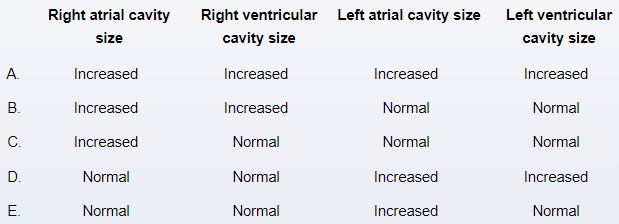 A 17-year-old girl is evaluated due to decreased exercise tolerance and fatigue.  She has no known medical conditions and takes no medications.  Blood pressure is 110/60 mm Hg and pulse is 88/min.  The lungs are clear on auscultation.  Cardiac examination reveals a parasternal heave, and a widely split second heart sound is heard throughout the respiratory cycle.  A systolic ejection murmur is present at the left upper sternal border.  Distal pulses are normal.  Echocardiography of this patient is most likely to demonstrate which of the following findings?   A) A B) B C) C D) D E) E