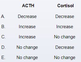 A 60-year-old woman comes to the office due to difficulty climbing stairs and dyspnea on exertion over the last 6 weeks.  The patient has a 40-pack-year smoking history.  Blood pressure is 160/90 mm Hg and pulse is 78/min.  Auscultation of the chest reveals decreased breath sounds over the right lung base.  Proximal muscle strength is 4 on a scale of 0-5.  Skin examination shows scattered ecchymoses.  Laboratory results show mild hyperglycemia and elevated 24-hour urinary free cortisol.  Serum cortisol level is at the upper limit of normal and is not suppressed following administration of low-dose dexamethasone.  Serum ACTH level is elevated.  Chest x-ray reveals a right lower lobe lung mass.  Which of the following changes are most likely to occur after administration of high-dose dexamethasone in this patient?   A) A B) B C) C D) D E) E