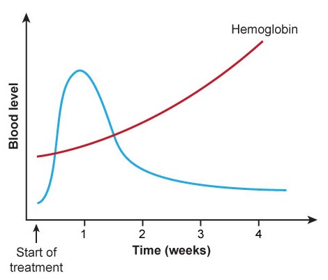 A 55-year-old man undergoing evaluation for fatigue and exertional dyspnea is diagnosed with macrocytic anemia.  Upper gastrointestinal endoscopy is consistent with atrophic gastritis.  He is started on intramuscular cyanocobalamin, with the resulting changes shown in the graph below.   The blue curve most likely corresponds to which of the following parameters? A) Erythrocyte count B) Gastrin C) Haptoglobin D) Methylmalonic acid E) Reticulocyte count