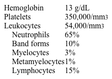 A 24-year-old, previously healthy woman comes to the hospital due to a 3-day history of fever, dyspnea, and cough productive of yellow sputum.  Temperature is 38.8 C (101.8 F) , blood pressure is 110/66 mm Hg, and pulse is 110/min.  The patient has bronchial breath sounds and crackles over the right lower lung.  Laboratory results are as follows:   The leukocyte alkaline phosphatase test score is elevated.  Which of the following is the most likely finding on this patient's peripheral blood smear? A) Basophilic oval inclusions in mature neutrophils B) Basophilic stippling of red blood cells C) Mature neutrophils with hypersegmented nuclei D) Numerous blasts with azurophilic rods E) Small lymphoid cells with cleaved nuclei