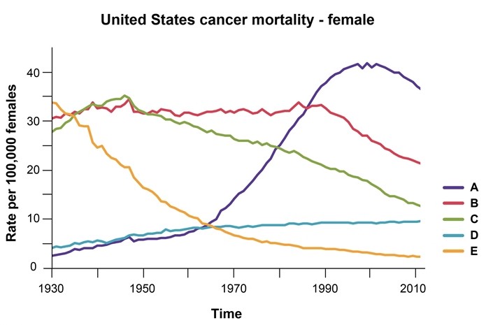 The age-adjusted mortality trends for 5 cancers in women in the United States are shown in the graph below.   Which of the following curves best corresponds to lung cancer? A) A B) B C) C D) D E) E