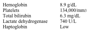 A 63-year-old man comes to the emergency department due to abdominal pain.  Physical examination shows abdominal tenderness without guarding or rebound.  His laboratory test results are as follows:   On further investigation, magnetic resonance angiography of the abdomen reveals mesenteric vein thrombosis.  Flow cytometry shows absence of CD55 on the surface of red blood cells.  Which of the following is the most likely pathologic renal finding in this patient? A) Cast nephropathy B) Hemosiderosis C) Interstitial nephritis D) Membranous glomerulonephritis E) Minimal change disease