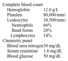 A 3-year-old boy is brought to the emergency department due to high fever, vomiting, and lethargy.  His symptoms started 1 day ago but rapidly worsened over the last few hours.  Physical examination shows hypotension, tachycardia, neck stiffness, and a petechial rash over the trunk and lower extremities.  Laboratory results are as follows:   While being evaluated, the patient develops apnea and asystole.  Despite aggressive resuscitation efforts, the patient dies.  Autopsy would most likely reveal which of the following? A) Adrenal hemorrhage B) Cardiac tamponade C) Intracerebral hemorrhage D) Necrotizing pancreatitis E) Saddle pulmonary embolus