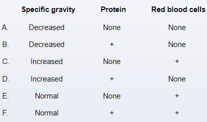 A 38-year-old woman, gravida 1 para 0, at 32 weeks gestation comes to the office due to a progressively worsening headache.  The patient also reports increased leg swelling and a 4.54-kg (10-lb)  weight gain since her last visit 2 weeks ago.  She has no chronic medical conditions, and her pregnancy has been uncomplicated.  Review of medical records shows that blood pressure was 130/80 mm Hg at 30 weeks gestation.  Today, blood pressure is 165/100 mm Hg.  There is 2+ pitting edema to the knees.  Serum creatinine is 0.9 mg/dL.  Which of the following findings would most likely be present in this patient's urinalysis?   A) A B) B C) C D) D E) E F) F