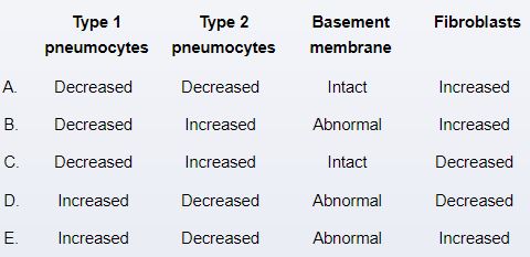 A 62-year-old man is evaluated for persistent dry cough and exertional dyspnea that has progressed over the past year.  He has had difficulty accomplishing normal daily activities.  The patient has no significant medical history and takes no medications.  He smoked cigarettes for 10 years and quit 25 years ago.  The patient works as an investment banker and does not use alcohol or illicit drugs.  Vital signs are normal.  Physical examination shows bilateral inspiratory crackles and digital clubbing.  CT scan of the chest is shown in the exhibit.   Which of the following changes are most likely present in this patient's lung tissue?   A)A B)B C)C D)D E)E