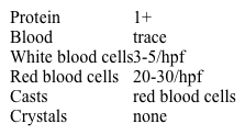 A 12-year-old boy is brought to the clinic because of facial puffiness.  Examination shows periorbital edema.  Urinalysis reveals:   A biopsy image representative of this patient's disease process is shown below.   Which of the following additional findings is most likely to be present in this patient? A) Antiglomerular basement membrane antibodies B) Antineutrophil cytoplasmic antibodies C) Decreased serum C3 level D) Decreased serum C4 level E) Increased eosinophil count