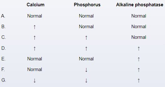 A 67-year-old man comes to the office due to slowly worsening pain in both legs. He has had no trauma, fever, or chills. The pain is deep and aching, is present throughout the day, and increases with weight bearing. Vital signs are normal. Examination shows bilateral bowing of the legs with palpable warmth over the anterior shins but no redness. The remainder of the examination shows no abnormalities. Imaging studies reveal bone expansion, with cortical and trabecular thickening affecting both the tibia and fibula. Which of the following patterns of serum laboratory values is most likely in this patient? A) A B) B C) C D) D E) E F) F G) G