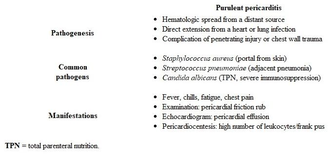 C   This patient with fever and chest pain has a <strong>turbid </strong>pericardial effusion with a high number of neutrophils, indicating <strong>purulent pericarditis</strong>.  Most cases are caused by bacteria or fungi and develop due to: <strong>Staphylococcus aureus</strong>, a <strong>gram-positive cocci</strong> that grows in <strong>clusters</strong>, is the most frequently isolated organism.  It is particularly likely in patients who have portals from the skin to the bloodstream (eg, <strong>tunneled dialysis catheter</strong>) or from the skin directly to the pericardium (eg, chest injury, recent cardiothoracic surgery).  Streptococcus pneumoniae is the most common organism in patients with adjacent pneumonia. Although Candida albicans, a budding yeast that forms germ tubes, is a leading cause of fungal pericarditis, it is seen primarily in persons with significant risk factors for candidemia such as parenteral feeding, prolonged corticosteroid use, or immunosuppression due to malignancy; S aureus is far more common in patients with end-stage renal disease who have vascular catheters <strong>(Choice B)</strong>. <strong>(Choice A)</strong>  Mycobacterium tuberculosis, an acid-fast bacilli, can occasionally cause purulent pericarditis due to direct spread from the lung or a mediastinal/hilar lymph node, but S aureus is far more likely in someone with a hemodialysis catheter. <strong>(Choice D)</strong>  Lactose-fermenting gram-negative bacilli (eg, Escherichia coli, Klebsiella pneumoniae, Enterobacter) are uncommon causes of purulent pericarditis.  Although Klebsiella pericarditis can occasionally occur due to adjacent anaerobic lung abscess, this patient with an indwelling catheter is far more likely to have S aureus infection. <strong>(Choice E)</strong>  Borrelia burgdorferi is a motile spirochete seen with silver stain.  It can cause Lyme myopericarditis as a consequence of early disseminated disease, but most cases are mild and asymptomatic.  In addition, an effusion caused by B burgdorferi infection would be lymphocyte (not neutrophil) predominant. <strong>(Choice F)</strong>  Although single-stranded RNA viruses such as Coxsackievirus can cause pericarditis, the pericardial fluid is usually lymphocyte (not neutrophil) predominant. <strong>Educational objective:</strong> Purulent pericarditis is usually caused by hematogenous dissemination from distant infection or direct extension from an adjacent infection or chest wall trauma.  Although a variety of organisms cause purulent pericarditis, Staphylococcus aureus is the most common pathogen, particularly in the setting of a portal from the skin to the bloodstream (eg, catheter) or pericardium (eg, recent chest surgery, penetrating injury). __________ References: Diagnosis and management of pericardial effusion. (http://www.ncbi.nlm.nih.gov/pubmed/21666814)