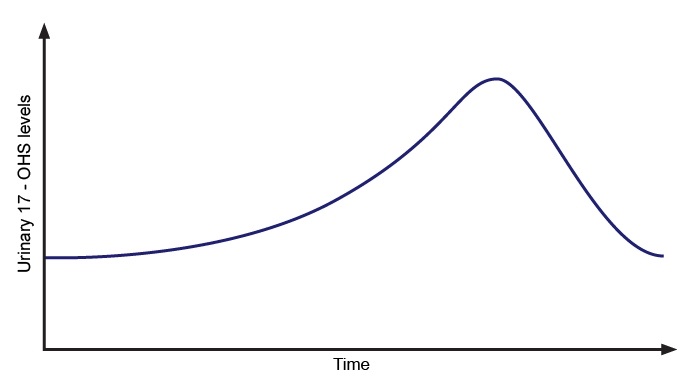 A 60-year-old woman is being evaluated for chronic weakness and fatigue.  She has no other medical problems and takes no medications.  After performing initial laboratory studies, the physician decides to proceed with a metyrapone stimulation test.  The changes in urinary 17-hydroxycorticosteroid (17-OHS)  excretion following metyrapone administration are shown in the graph below.   Which of the following mechanisms is most likely responsible for the findings seen in the graph? A) ACTH surge B) Aldosterone overproduction C) Cortisol overproduction D) Renin surge E) Vasopressin overproduction