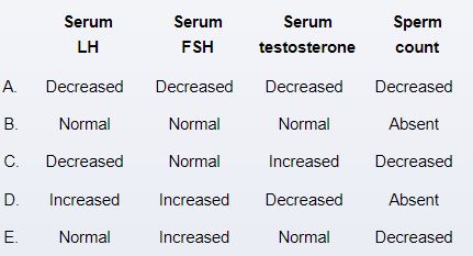 A 27-year-old man comes to the office for an infertility evaluation.  He and his wife have been trying to conceive for the last 16 months.  A previous evaluation of his wife showed no abnormalities.  The patient has no prior medical conditions and takes no medications.  Height is 188 cm (6' 2 )  and weight is 75 kg (165.3 lb) .  BMI is 21 kg/m<sup>2</sup>.  On physical examination, heart and lung sounds are normal.  There is bilateral gynecomastia, and genital examination shows small, firm testes.  The lower extremities appear abnormally long.  Further evaluation will most likely show which of the following sets of findings in this patient?   A) A B) B C) C D) D E) E