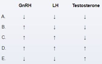 A 34-year-old man comes to the physician because of frequent headaches and blurry vision during the past 4 months. He has also had difficulties achieving an erection over the past few weeks. Medical history is unremarkable, and he takes no medications. He does not use tobacco, alcohol, or illicit drugs. Physical examination shows a temporal visual field deficit bilaterally. An MRI of the brain shows an intrasellar mass. Which of the following changes in serum GnRH, LH, and testosterone are most likely to be found in this patient?