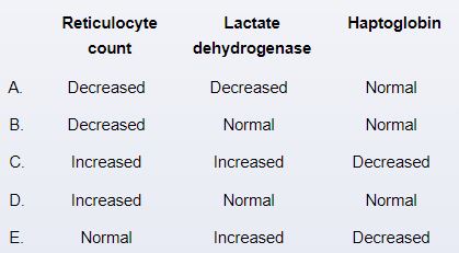 A 20-year-old man comes to the emergency department due to a 2-day history of increasing tiredness and exertional dyspnea.  He also reports yellowish discoloration of the eyes and dark urine.  The patient has no chronic medical conditions, but 5 days ago, he went to an urgent care clinic due to right leg cellulitis; a 7-day course of trimethoprim-sulfamethoxazole was prescribed.  The cellulitis has improved.  The patient, an exchange student from Israel, does not use tobacco, alcohol, or illicit drugs.  Temperature is 37 C (98.6 F) , blood pressure is 116/76 mm Hg, and pulse is 104/min.  Physical examination shows mild scleral icterus, pale oral mucous membranes, a faint systolic ejection murmur, and a nontender abdomen with no organomegaly.  Hemoglobin is 7.4 g/dL and mean corpuscular volume is 90 µm<sup>3</sup>.  Which of the following additional findings are most likely present in this patient?   A) A B) B C) C D) D E) E