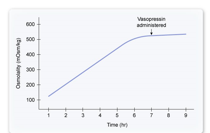 A 28-year-old woman comes to the clinic due to generalized weakness and frequent, high-volume urination.  She has had no dysuria, hematuria, or abdominal pain.  The patient's symptoms have been ongoing for several months, but she cannot recall exactly when they began.  She has no other medical conditions.  The patient is a single mother of a 2-year-old child, has little social support, and occasionally uses alcohol and marijuana  to cope with the stress.   Vital signs and physical examination are normal.  Blood glucose is 95 mg/dL and serum sodium is 132 mEq/L.  Urinalysis shows no white or red blood cells.  During further evaluation, urine osmolality is serially measured while fluid intake is restricted; vasopressin is subsequently administered 7 hours into the test.  The results are shown below.   Which of the following is the most appropriate long-term treatment for this patient? A) Desmopressin B) Hydrochlorothiazide C) Indomethacin D) Insulin E) Water restriction