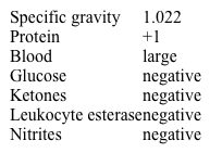 A 6-year-old girl is brought to the office by her mother due to abdominal pain.  The pain is diffuse and began this morning; it waxes and wanes in intensity.  The patient has had 2 episodes of nonbilious emesis.  She has had no fevers, sore throat, diarrhea, or bloody stools.  Two days ago, the patient developed an erythematous, macular rash over her legs and back that has become darker and more confluent today.  Blood pressure is 95/60 mm Hg.  The abdomen is soft and there is diffuse, mild tenderness on palpation with no rebound, guarding, or appreciable masses.  A raised, nonblanching rash is noted over the legs and back.  Urinalysis results are as follows:   Which of the following renal abnormalities is most likely present in this patient? A) Glomerular basement membrane thickening B) Linear deposition of IgG on the basement membrane C) Localized areas of mesangial sclerosis and collapse D) Mesangial deposition of IgA E) Podocyte fusion F) Subepithelial immune complex deposition