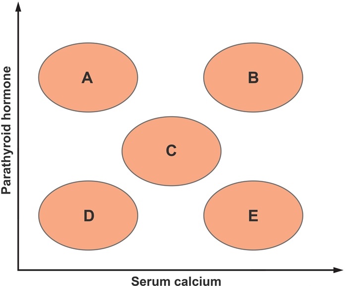 A 68-year-old Caucasian woman comes to the emergency department due to several hours of severe upper back pain.  The patient developed the pain after experiencing a sudden jolt while driving over a pothole.  She has no previous history of back pain or major trauma and has not seen a doctor in many years.  The patient is retired and lives a sedentary lifestyle.  She drinks a glass of wine daily and eats a healthy, balanced diet.  BMI is 18.4 kg/m<sup>2</sup>.  On examination, there is point tenderness over the T10 vertebra.  Neurologic examination is unremarkable.  X-ray of the spine reveals a T10 compression fracture.  On the graph, area C represent the normal serum concentrations of calcium and parathyroid hormone.   Which of the following areas most likely corresponds to this patient's current metabolic state? A) A B) B C) C D) D E) E